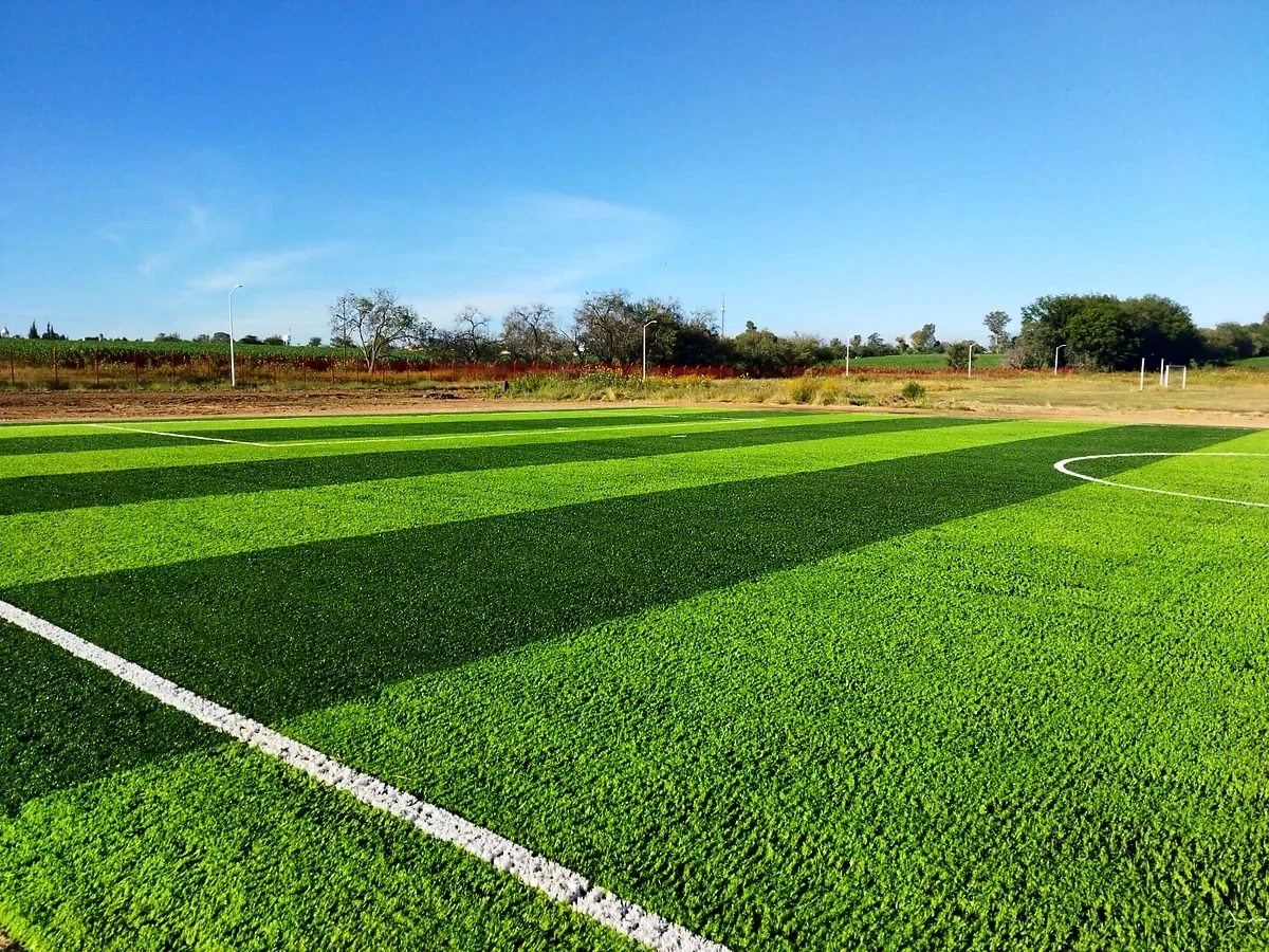 Cancha de fútbol 7 con pasto sintético en Instituto Tecnológico de Pabellón de Arteaga, Aguascalientes: la cancha desde la línea lateral