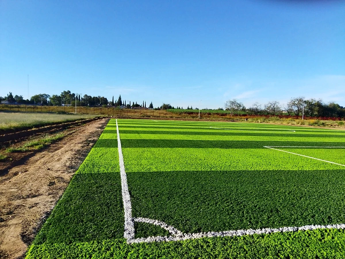 Detalle del pasto sintético de la cancha de fútbol 7 en Pabellón de Arteaga, Aguascalientes