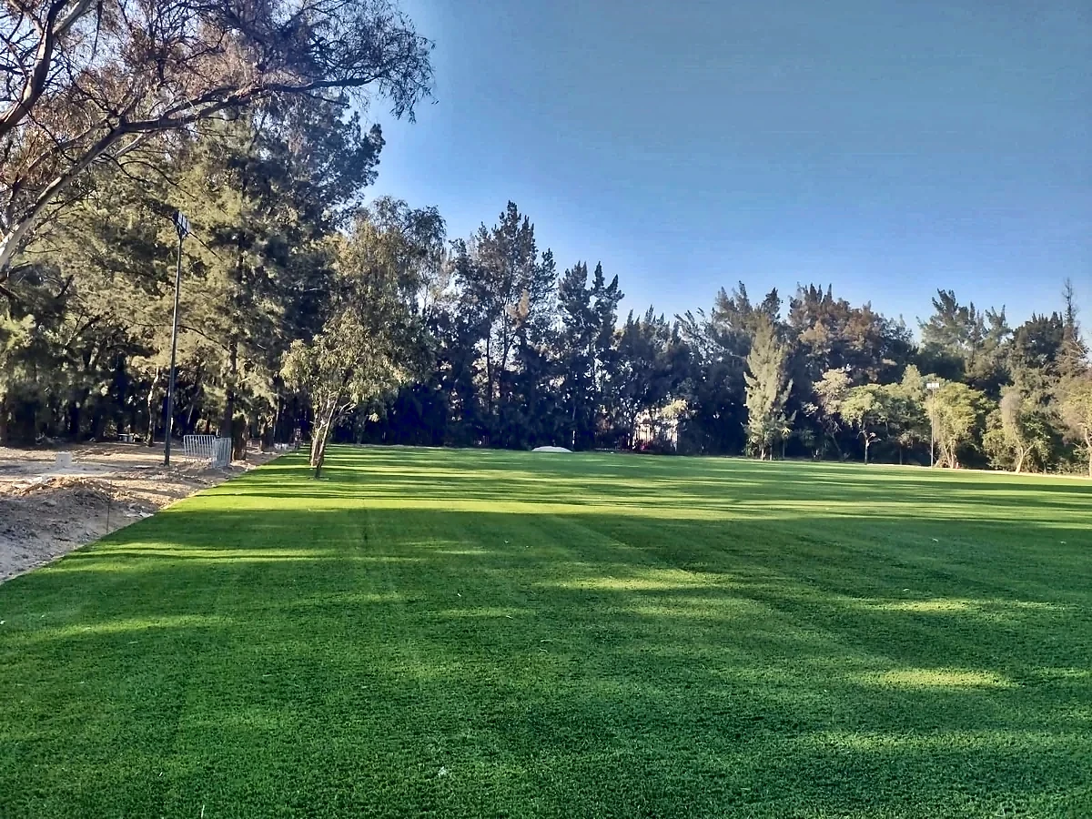 Área verde con pasto sintético en Iztacalco, Ciudad de México