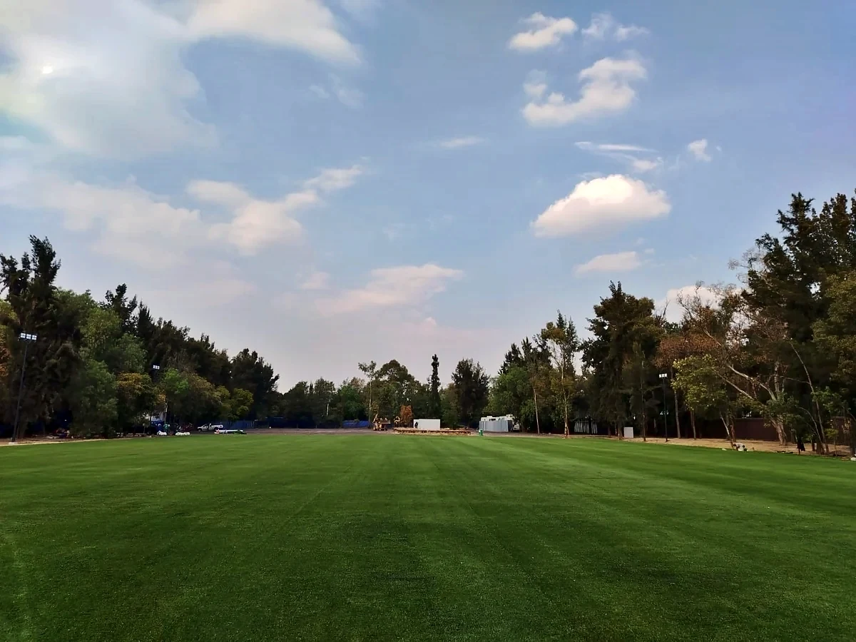 Área verde con pasto sintético en Iztacalco, Ciudad de México: pasto sintético recién cepillado