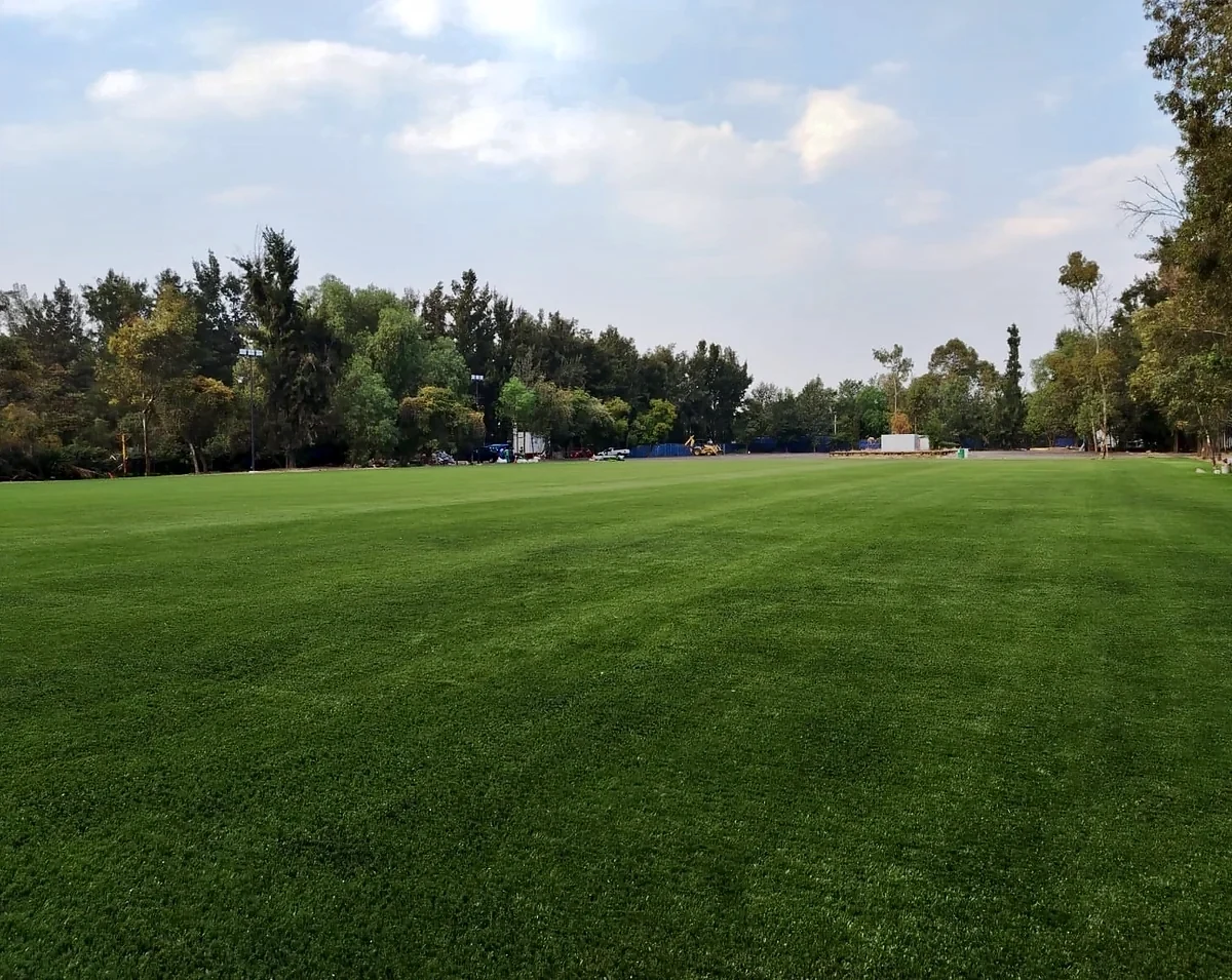 Detalle del pasto sintético del área verde con pasto sintético en Iztacalco, Ciudad de México