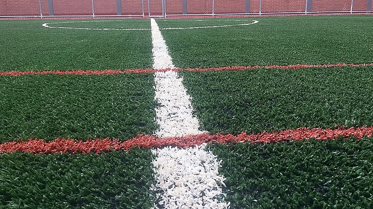 Cancha de fútbol 5 con pasto sintético en Colegio Britanico, Delegacion Benito Juarez, Ciudad de México: vista de la cancha y su entorno