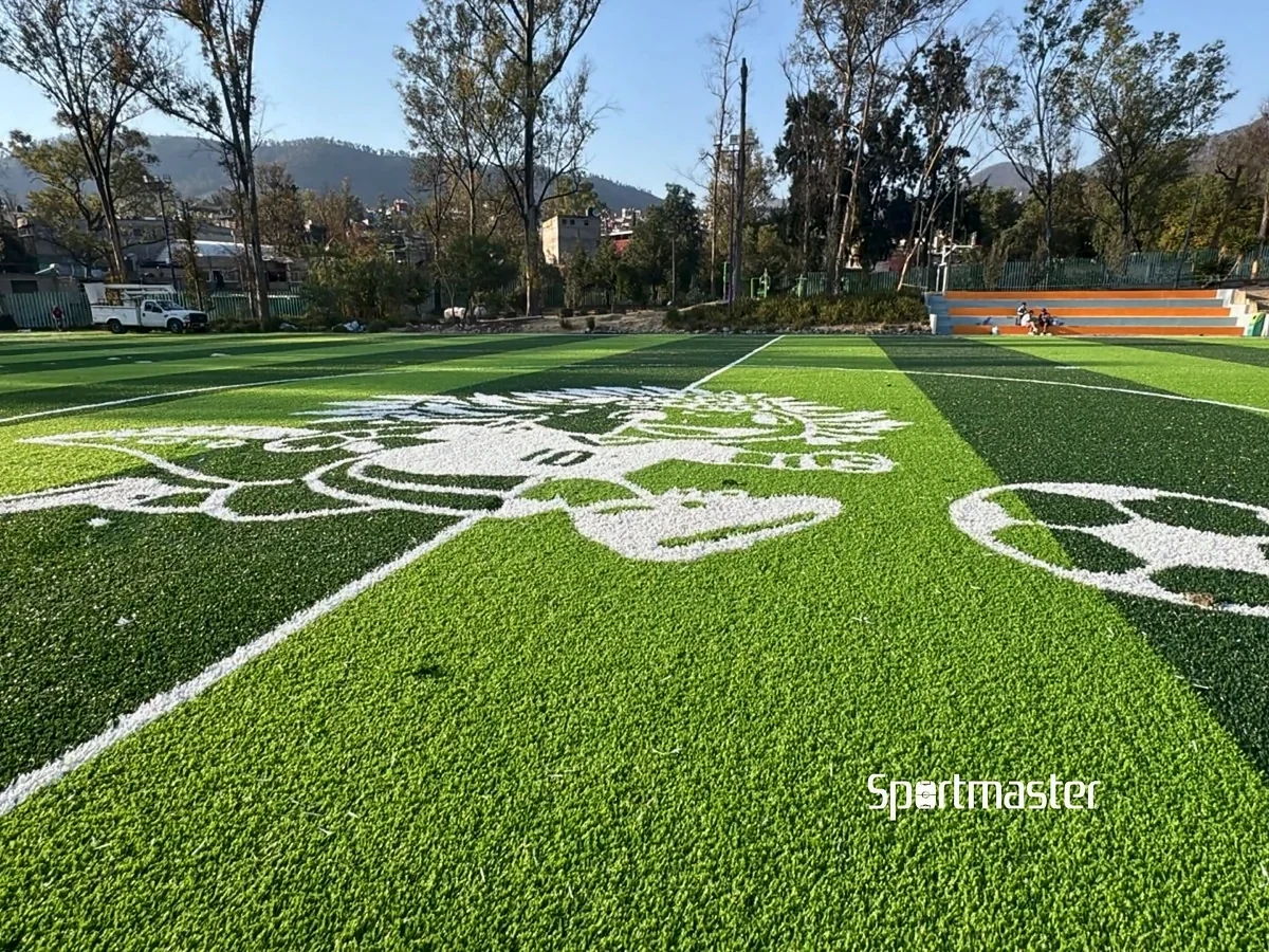 Cancha de fútbol 7 con pasto sintético en Deportivo El Vivero Coautepec, Gustavo A. Madero, Ciudad de México: líneas de juego insertadas en el mismo pasto