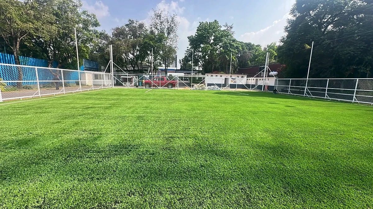 Detalle del pasto sintético de la cancha de fútbol 7 en Miguel Hidalgo, Ciudad de México