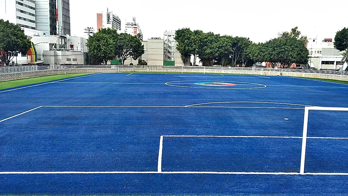 Cancha de fútbol soccer con pasto sintético en Deportivo Benito Juárez, Ciudad de México, Ciudad de México: líneas de juego insertadas en el pasto