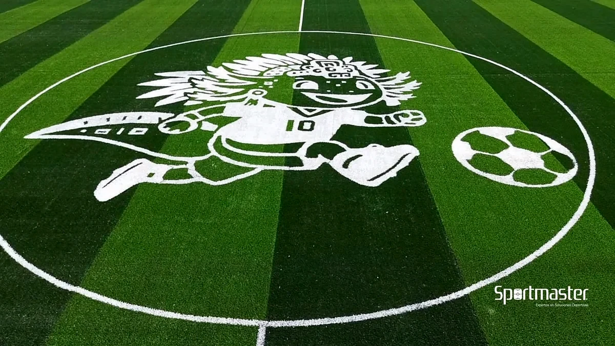 Cancha de fútbol soccer con pasto sintético en Deportivo Contreras, Magdalena Contreras, Ciudad de México: la cancha desde la línea lateral