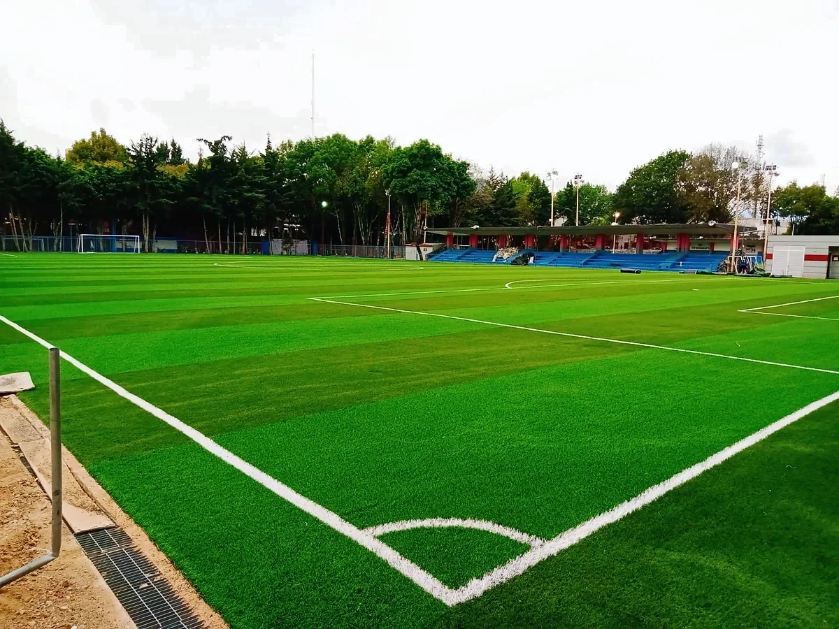 Cancha de fútbol soccer con pasto sintético en Miguel Hidalgo, Ciudad de México
