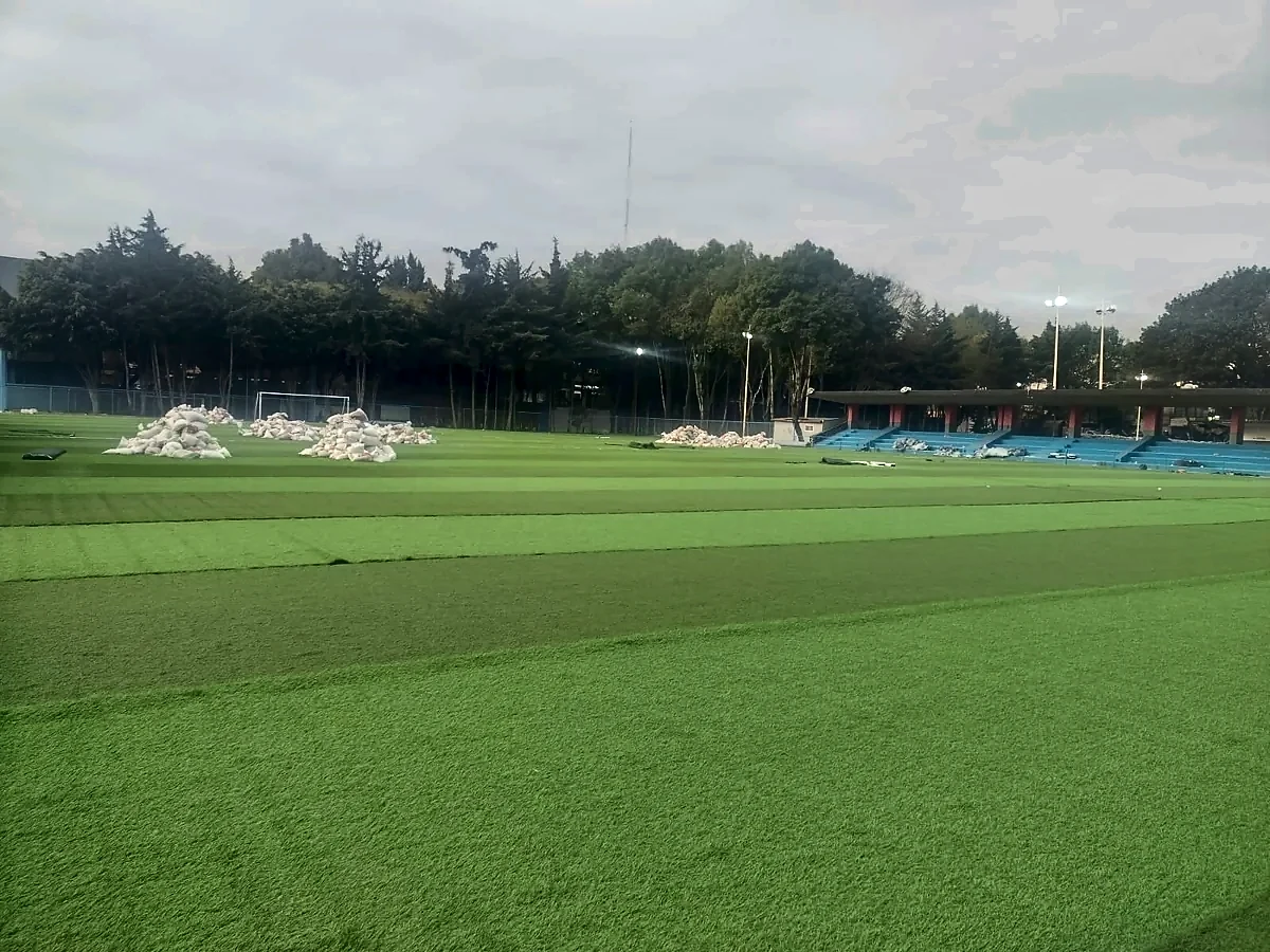 Detalle del pasto sintético de la cancha de fútbol soccer en Miguel Hidalgo, Ciudad de México