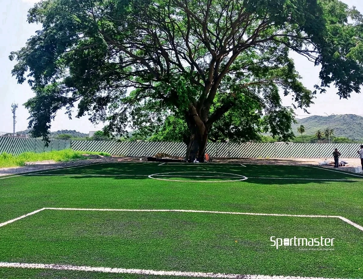 Cancha de fútbol 5 con pasto sintético en Instituto Paulo Freire, Manzanillo