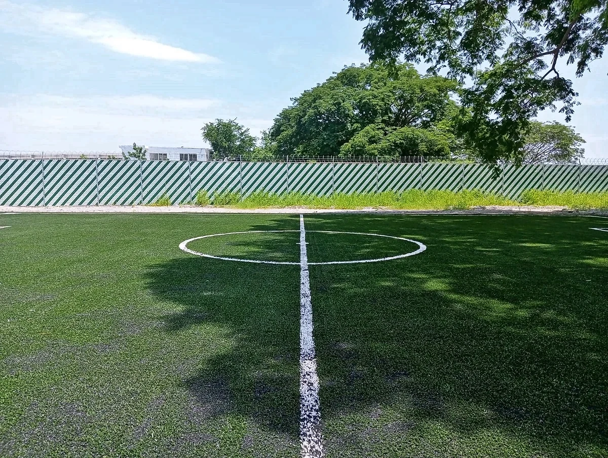 Cancha de fútbol 5 con pasto sintético en Manzanillo, Colima: líneas insertadas en el pasto sintético