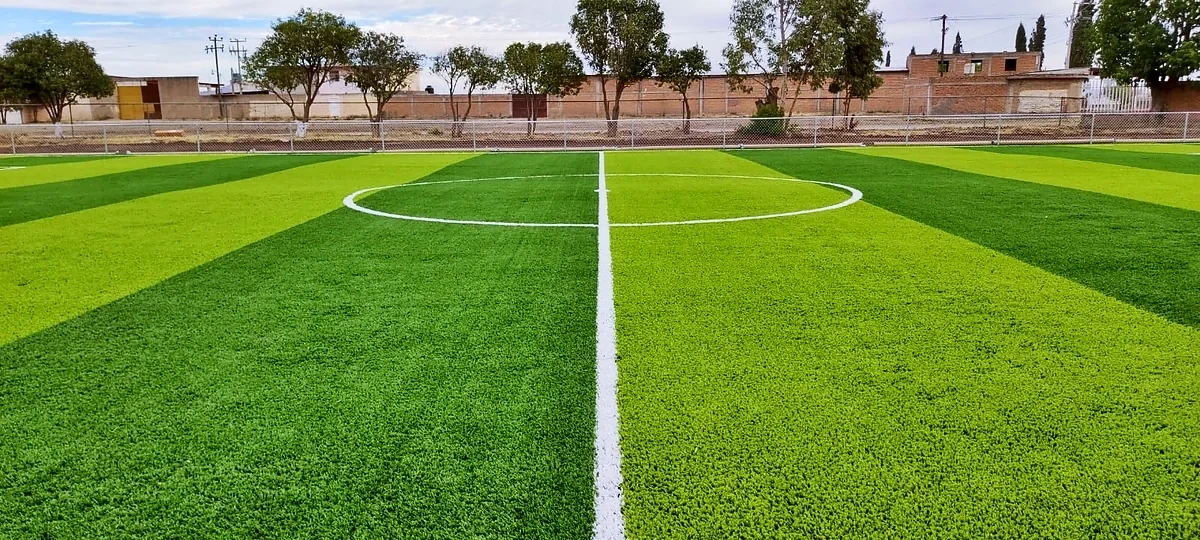 Cancha de fútbol 7 con pasto sintético en Escuela Primaria 20 de Noviembre, José Guadalupe Aguilera