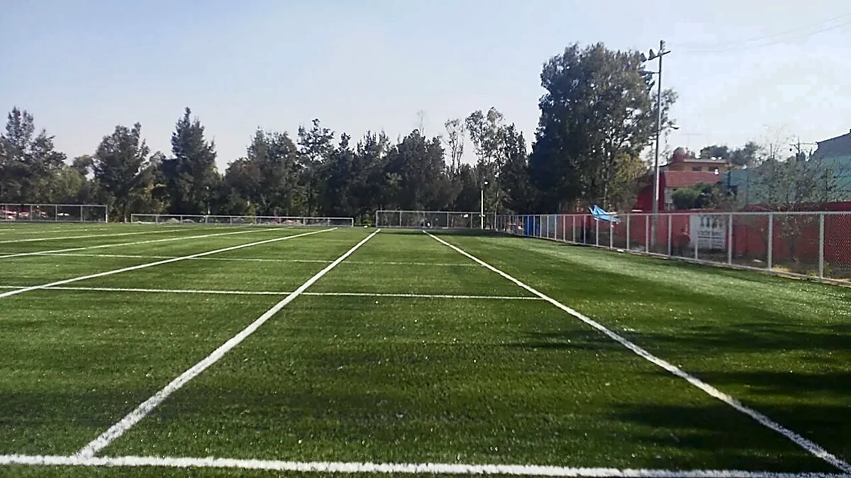 Área de tiro al blanco con pasto sintético con pasto sintético en Deportivo Siervo de la Nación, Ecatepec, Estado de México: pasto sintético recién cepillado