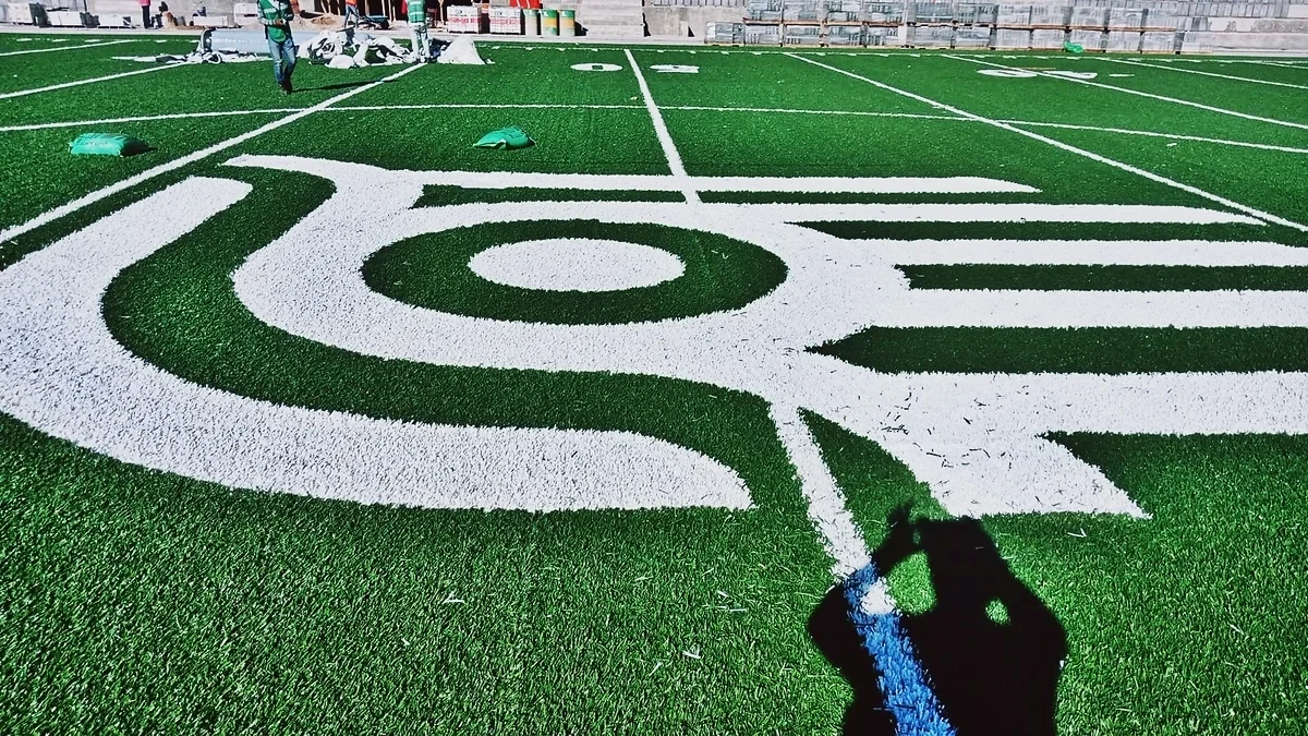 Detalle del logotipo insertado en el pasto sintético del campo de fútbol americano del Parque Ecológico Lago de Texcoco