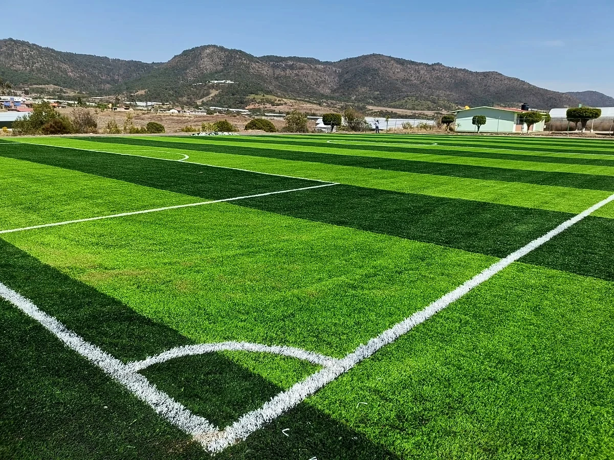 Cancha de fútbol 7 con pasto sintético en Cancha Localidad de Buenos Aires, Almoloya de Alquisiras, Estado de México: la cancha desdel fondo