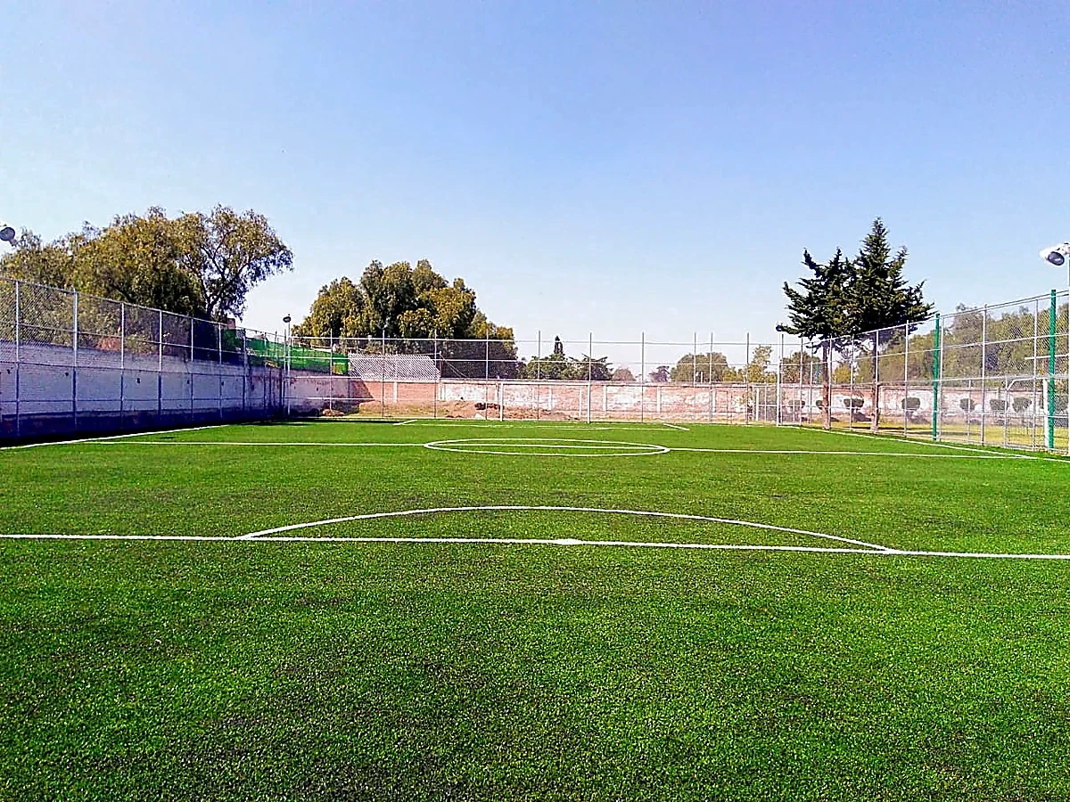 Cancha de fútbol 7 con pasto sintético en Deportivo Municipal Papalotla, Estado de México: líneas de juego insertadas en el mismo pasto