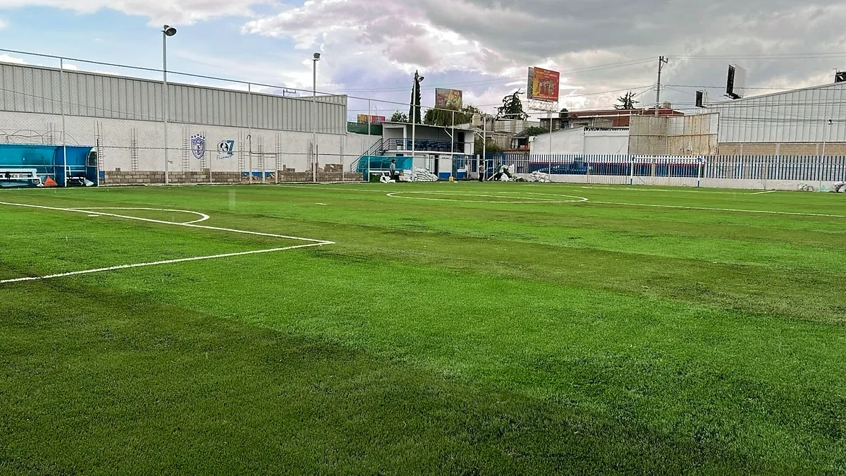 Cancha de fútbol 7 con pasto sintético en Toluca, Estado de México: líneas de juego insertadas en el mismo pasto