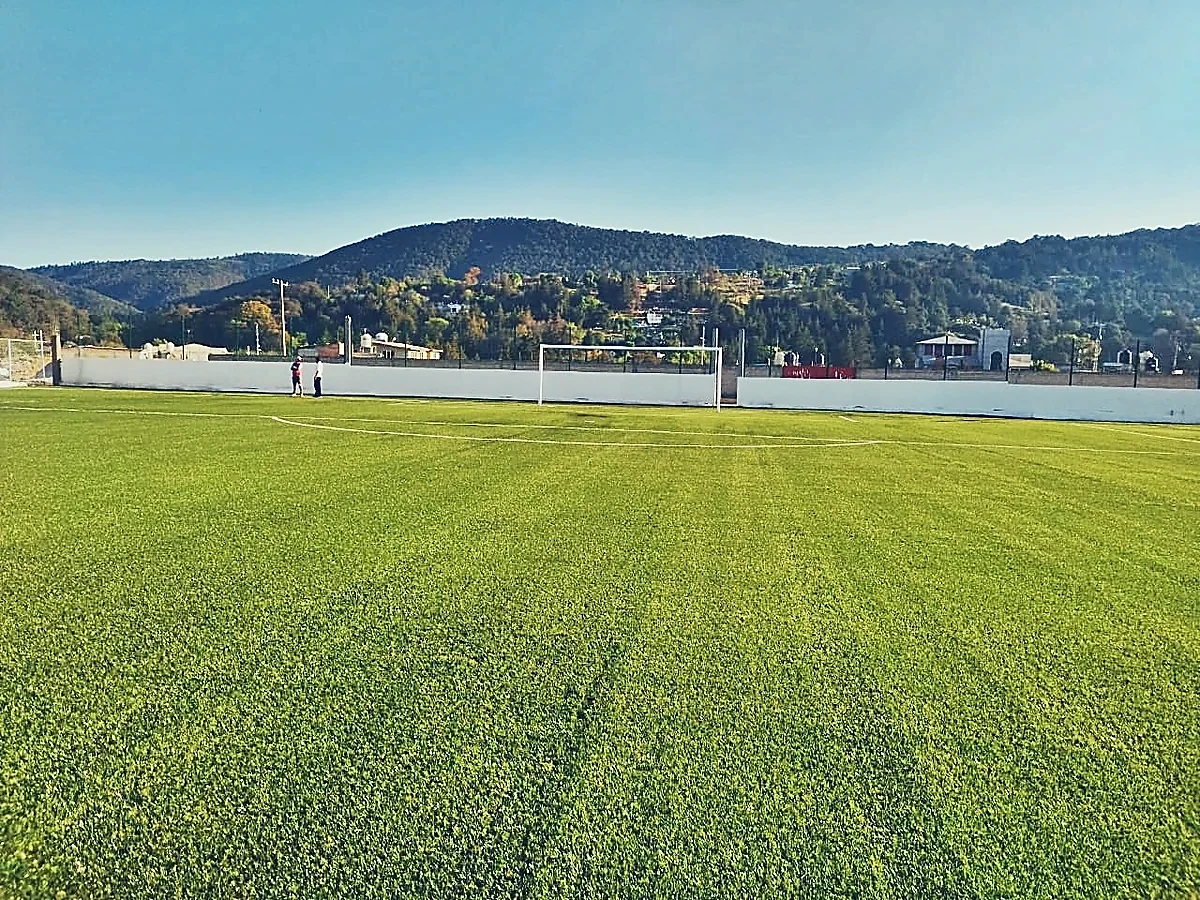 Cancha de fútbol soccer con pasto sintético en Campo de Soccer Tapaxco, Tapaxco (El Oro), Estado de México: otra vista de la cancha