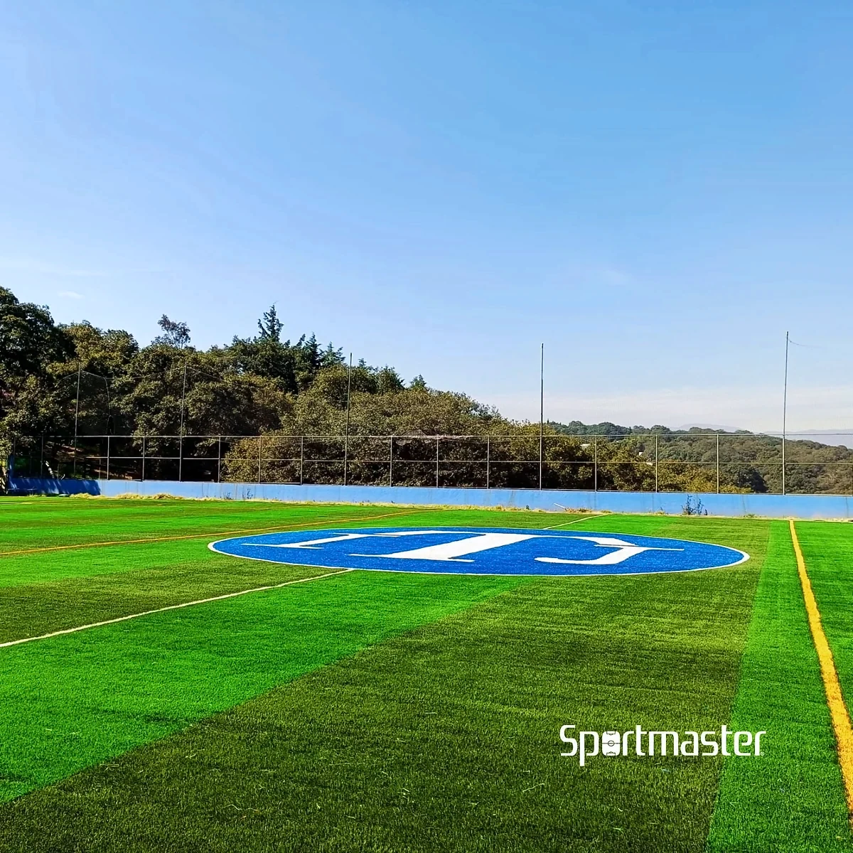 Detalle del pasto sintético de la cancha de fútbol soccer en Atizapán de Zaragoza, Estado de México