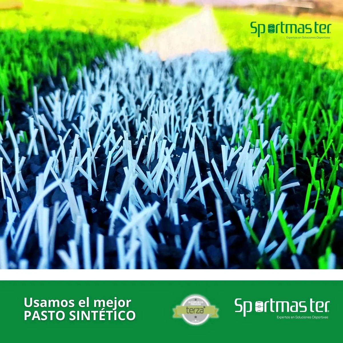 Detalle del pasto sintético de la cancha de fútbol soccer en San Pedro del Rosal, Estado de México