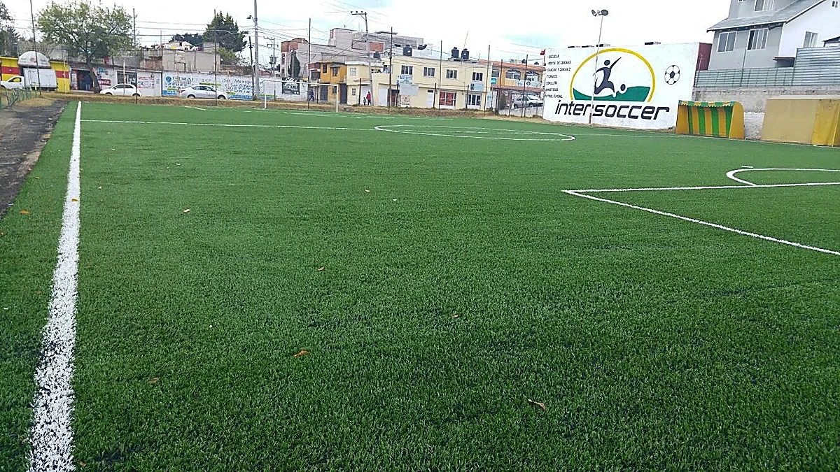 Detalle del pasto sintético de la cancha de fútbol soccer en Toluca, Estado de México