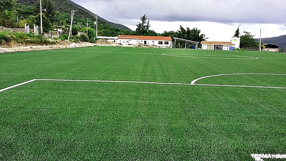 Cancha de fútbol soccer con pasto sintético en Campo Deportivo Carrizalillo, Guerrero: líneas de juego insertadas en el pasto