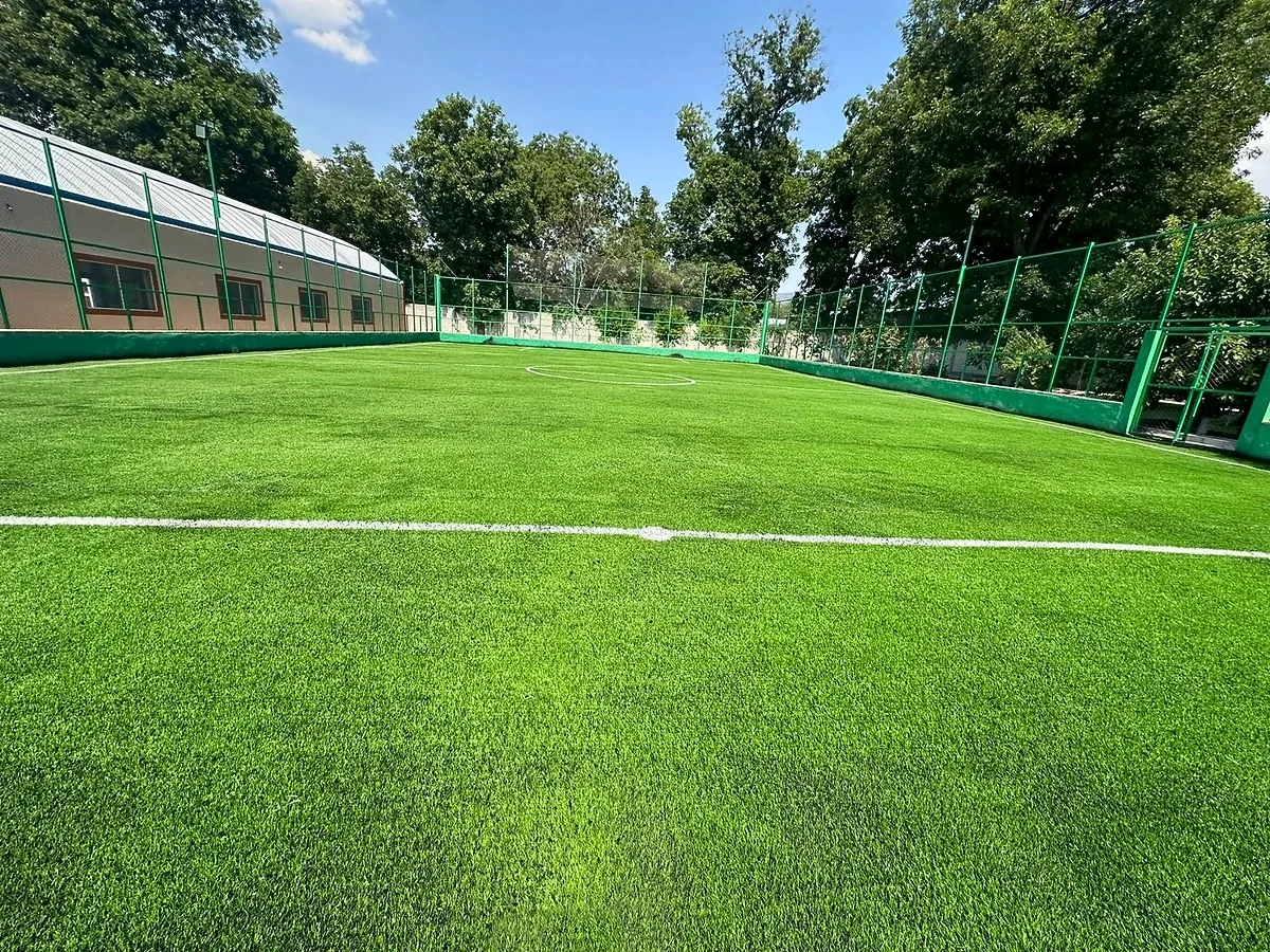 Cancha de fútbol 7 con pasto sintético en Cancha los Pavorreales, Tecozautla, Hidalgo: la cancha desde la línea lateral