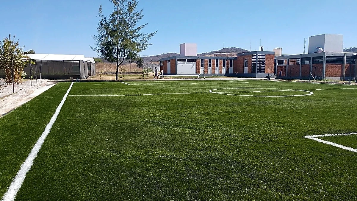Cancha de fútbol 7 con pasto sintético en Guadalajara, Jalisco: líneas de juego insertadas en el mismo pasto