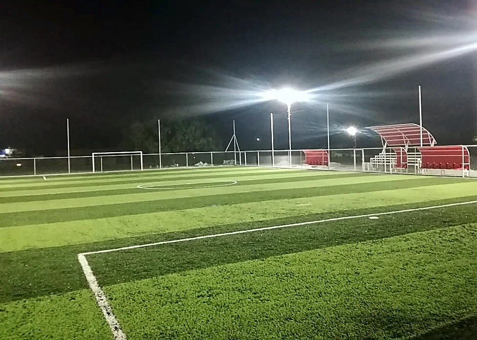 Cancha de fútbol 7 con pasto sintético en Los Aldama, Nuevo León: la cancha desdel fondo