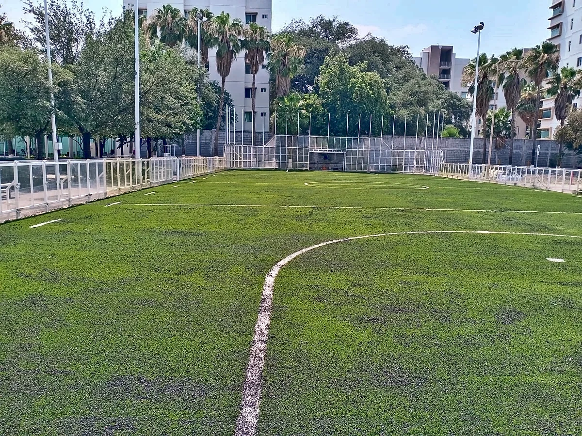 Cancha de fútbol rápido con pasto sintético en San Nicolás de los Garza, Nuevo León: líneas de juego insertadas en el pasto