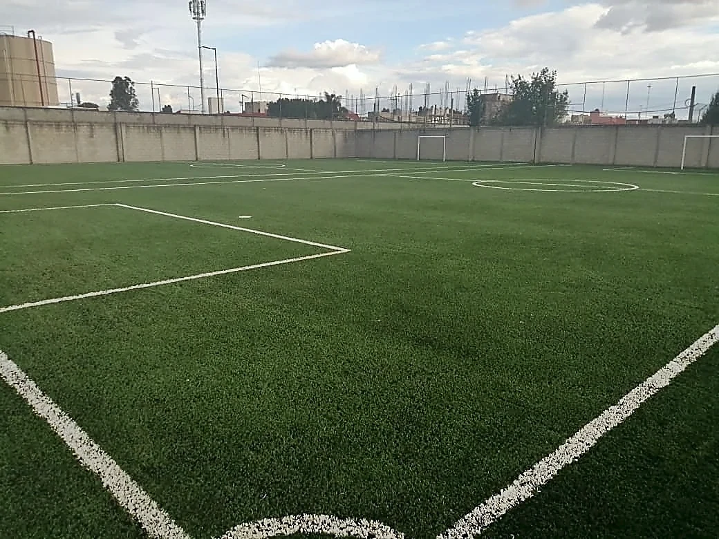 Cancha de fútbol 7 con pasto sintético en Colegio Puebla, Puebla: pasto sintético deportivo recién cepillado