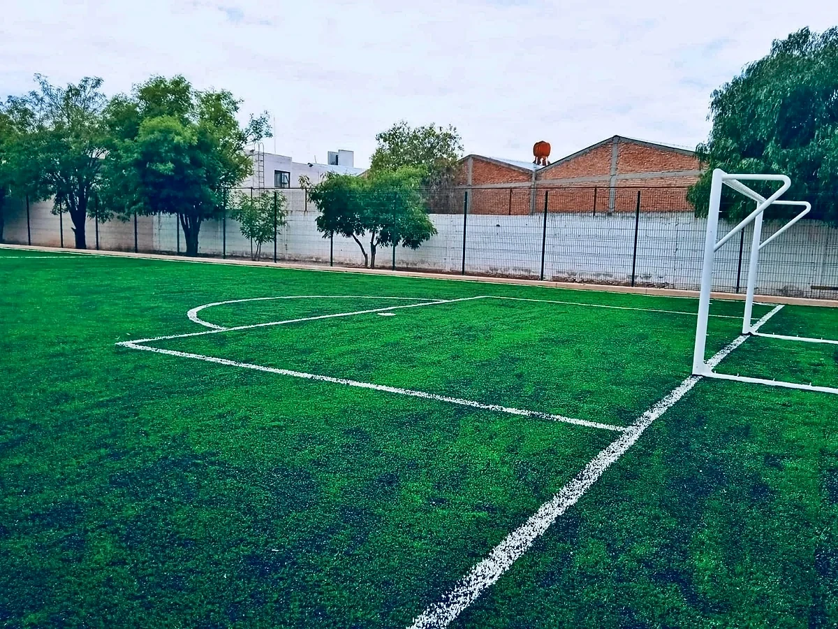 Cancha de fútbol 7 con pasto sintético en Cancha Colonia Juvenil, San Luis Potosí, San Luis Potosí: pasto sintético deportivo recién cepillado