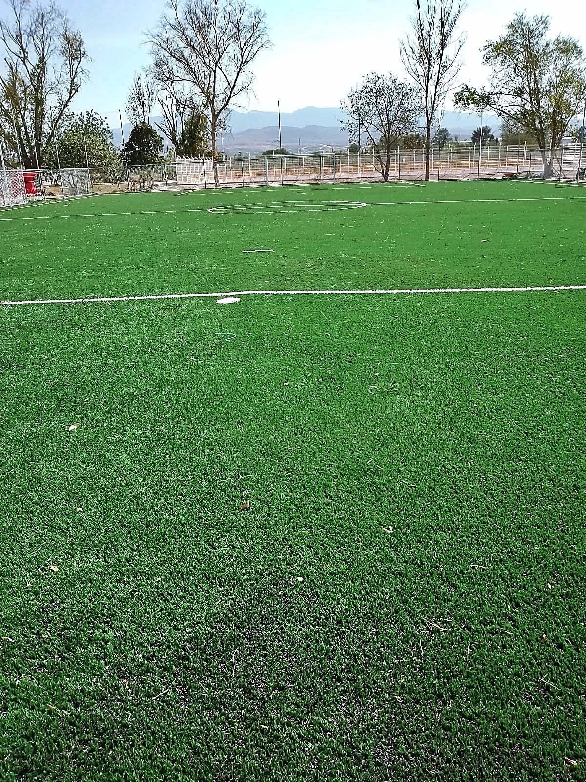 Cancha de fútbol 7 con pasto sintético en Empresa CUMMINS, San Luis Potosí, San Luis Potosí: la cancha desdel fondo