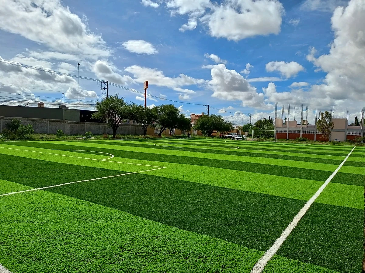 Cancha de fútbol 7 con pasto sintético en Escuela Secundaria Técnica No. 90, San Luis Potosí, San Luis Potosí: la cancha desde la línea lateral