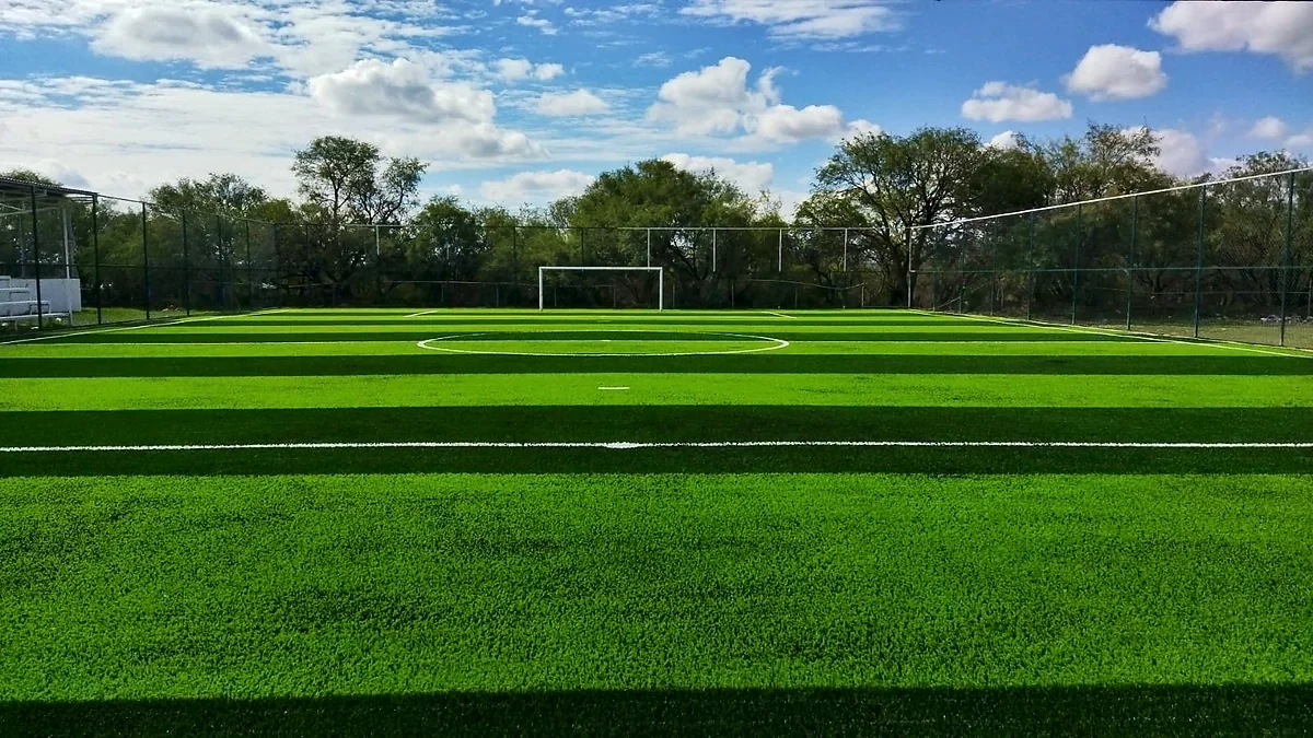 Cancha de fútbol rápido con pasto sintético en Salinas, San Luis Potosí: otra vista de la cancha