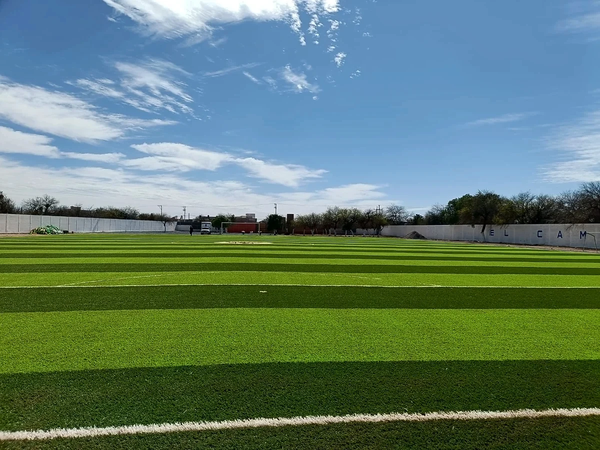 Cancha de fútbol soccer con pasto sintético en Campo Fútbol Club de Leones, Salinas, San Luis Potosí: la cancha desde la línea lateral
