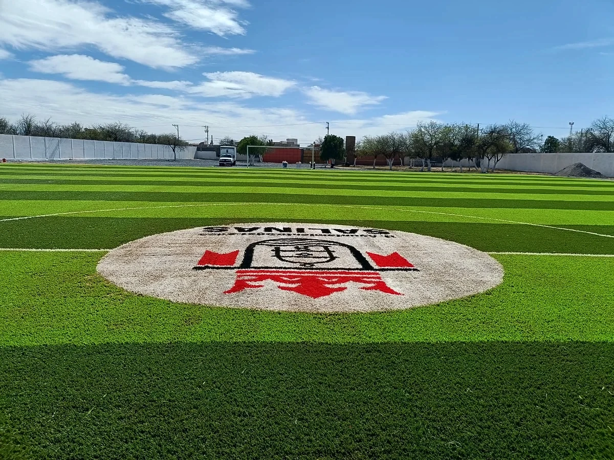 Cancha de fútbol soccer con pasto sintético en Campo Fútbol Club de Leones, Salinas, San Luis Potosí: pasto sintético deportivo recién cepillado