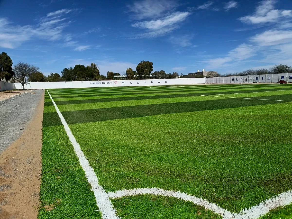 Cancha de fútbol soccer con pasto sintético en Campo Fútbol Club de Leones, Salinas, San Luis Potosí: vista de la cancha y su entorno
