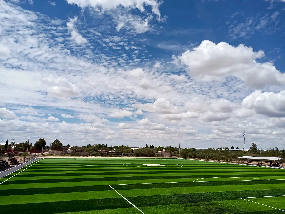 Cancha de fútbol soccer con pasto sintético en Villa de Ramos, San Luis Potosí: líneas de juego insertadas en el pasto