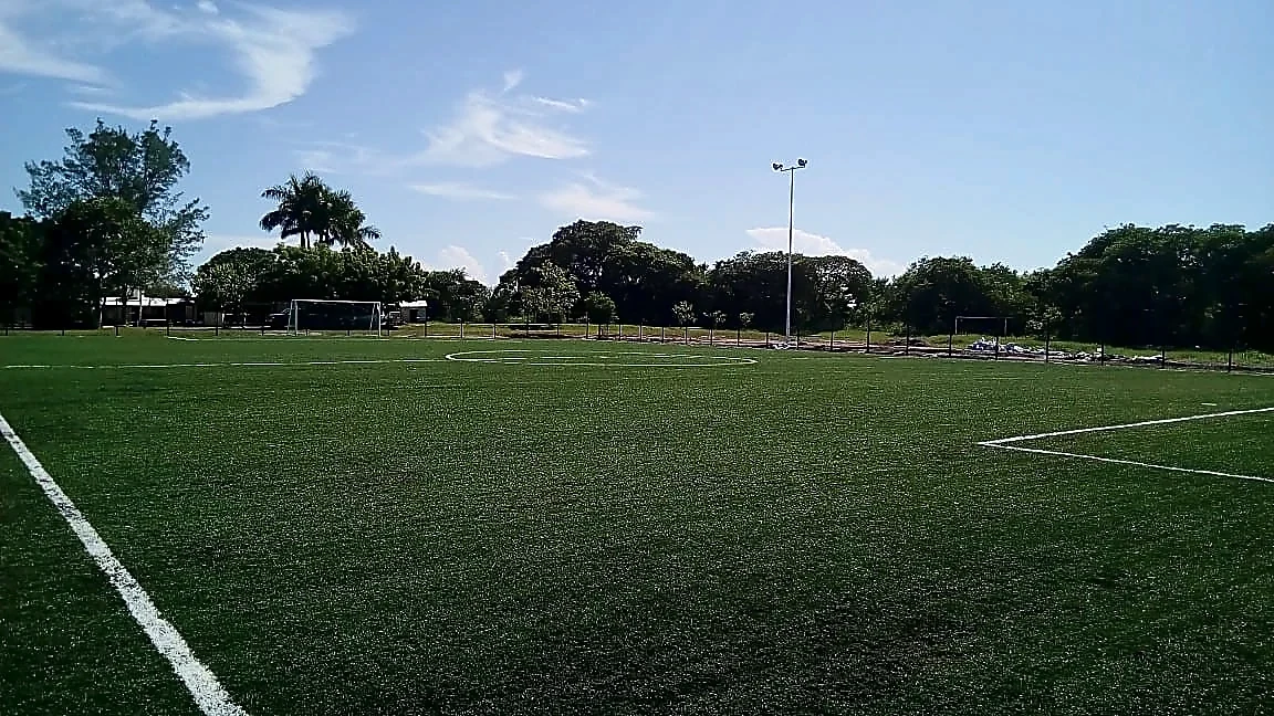 Detalle del pasto sintético de la cancha de fútbol 7 en Aldama, Tamaulipas