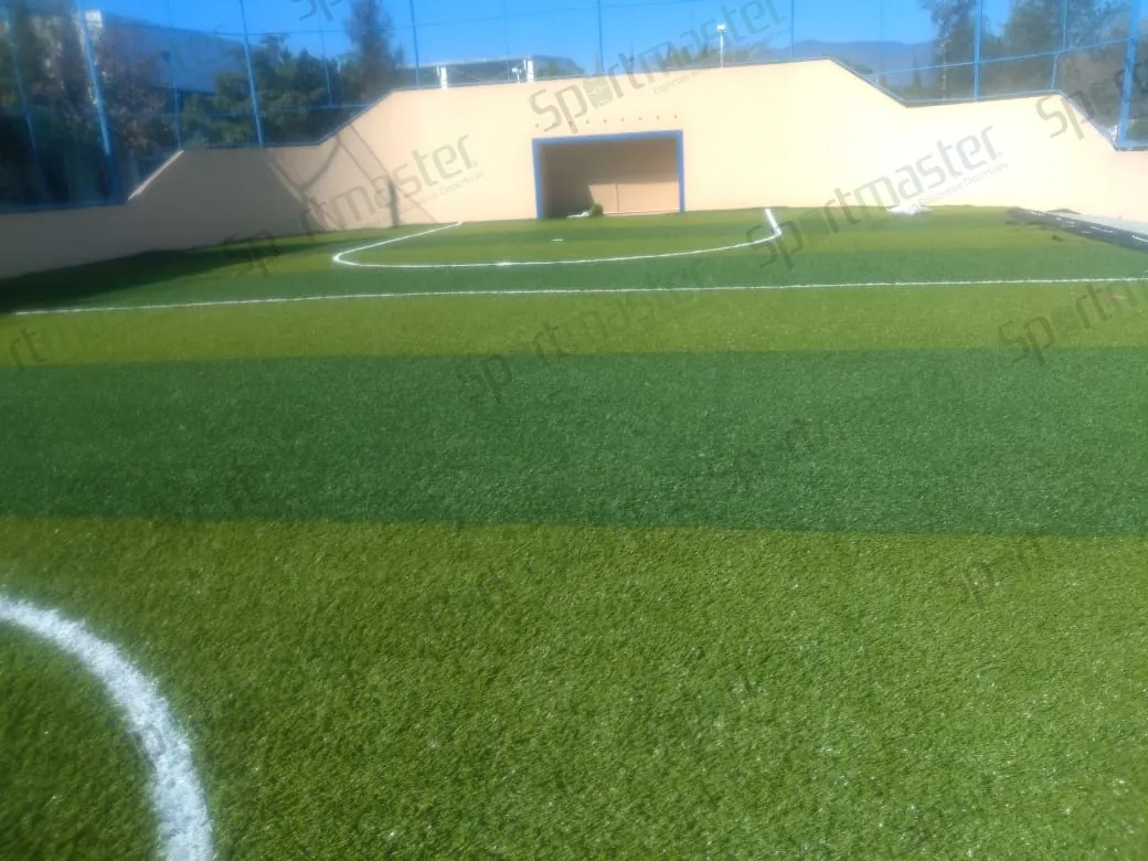 Cancha de fútbol rápido con pasto sintético en Colegio Lasaye, Ciudad Victoria, Tamaulipas: la portería en el muro del fondo y la línea del área