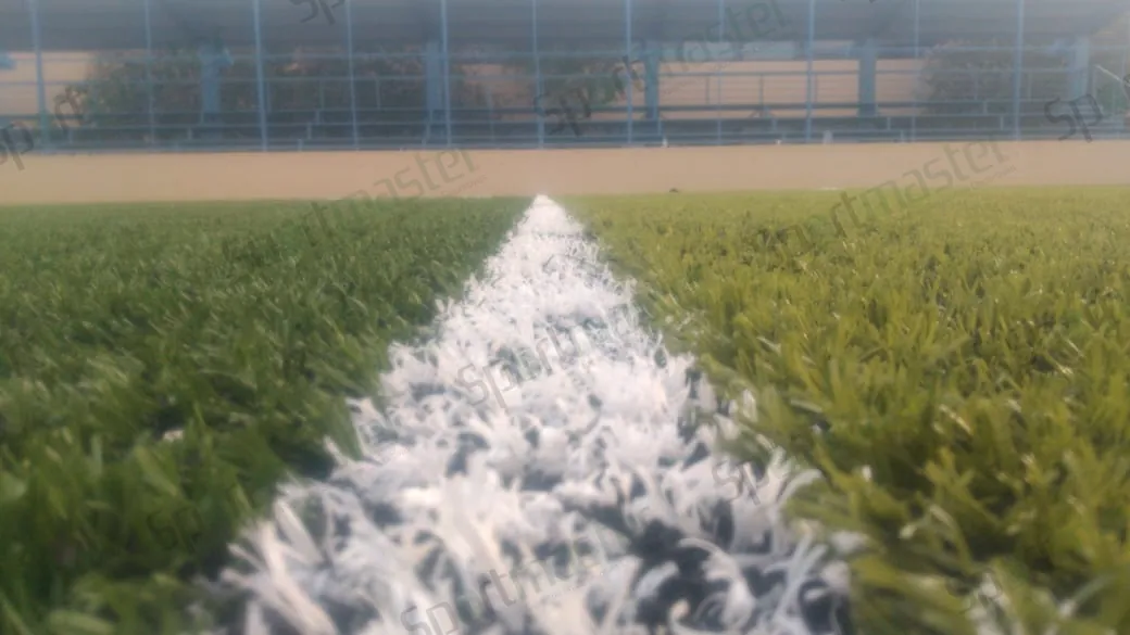 Cancha de fútbol rápido con pasto sintético en Colegio Lasaye, Ciudad Victoria, Tamaulipas: detalle de la línea blanca en el pasto