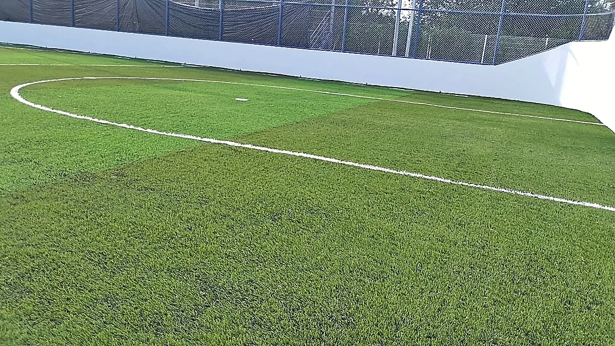 Cancha de fútbol rápido con pasto sintético en Universidad La Salle, Ciudad Victoria, Tamaulipas: la cancha desdel fondo