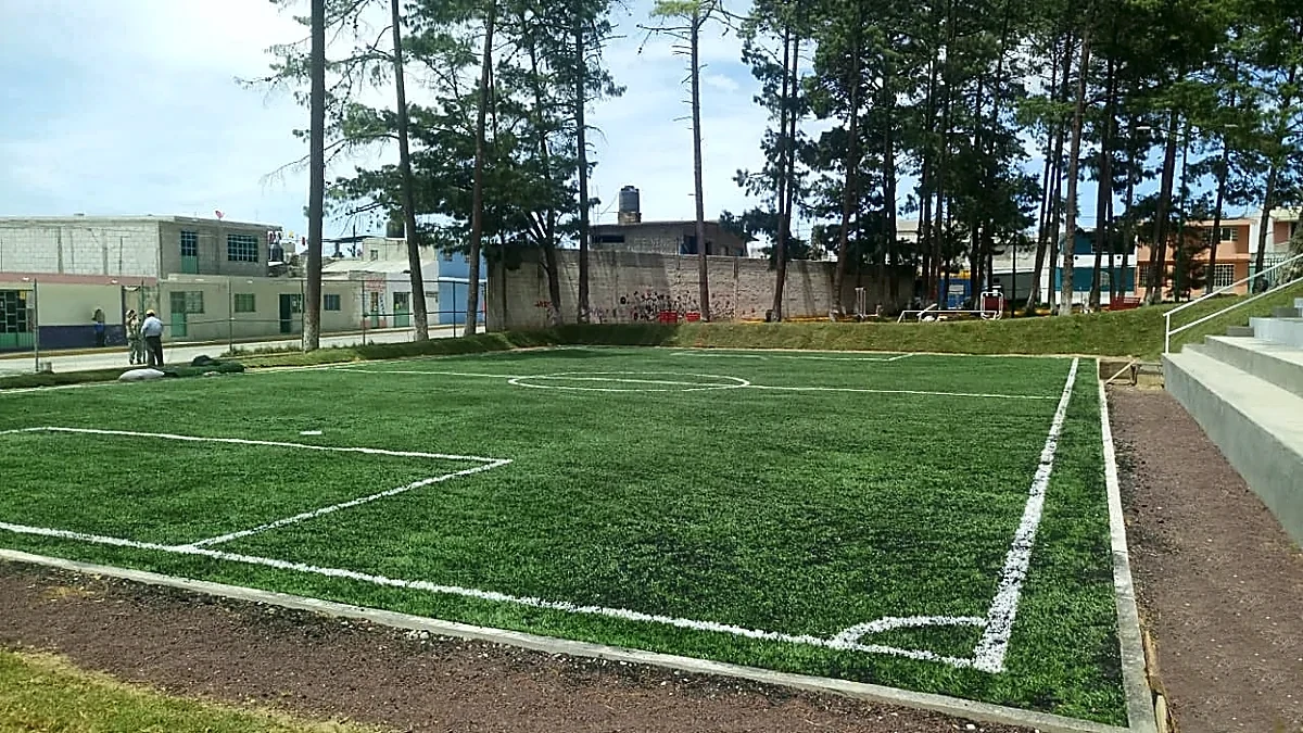 Cancha de fútbol 5 con pasto sintético en Campo Deportivo Dentro del Parque el Bosquecito, Perote, Veracruz: pasto sintético deportivo recién cepillado